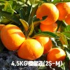 농장직송 제주하우스 감귤 4.5KG 로얄과(2S-M)