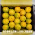 농장직송 제주하우스감귤 2.5KG 가방포함 선물세트