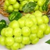 [청년농가] 산지직송 샤인머스켓 가정용 1kg(1-3수 내외)
