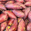 [청년농가] 26년 베니하루카 꿀밤고구마 비세척 중(50g~100g) 10kg