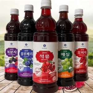 블루원 5종 농축액기스100% 900ml 2병/5종중택