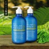 히말라야 모링가 뉴오리지널 샴푸 500ml
