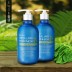 히말라야 모링가 뉴오리지널 샴푸 500ml