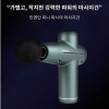 인앤인 미니 파시아 마사지건