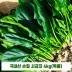 국내산 손질 시금치 4kg(특품)