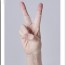 레온 스탠다드 오른손용 나비그립 2pcs