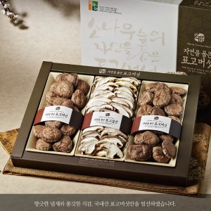 혼합버섯세트5호(동고130g*2,표고절편80g)