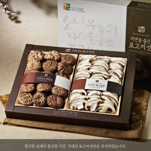 혼합버섯세트1호(흑화고특200g,표고절편150g)