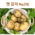 신선 감자 3kg(대)