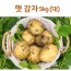 신선 감자 5kg(대)