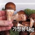 솔방 365 신선 논산 가정용 참송이버섯 1kg