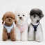 [펫츠랜드] 강아지 하네스 가슴줄 X형 애견 반려견 중형견 소형견 허그미 HARNESS 단품