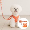 [펫츠랜드] 강아지 하네스 소형견 X형 하네스 가슴줄 목줄 하트팝 리드줄세트