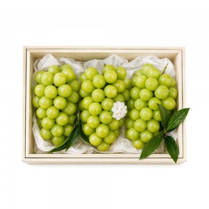 제철과일 명절 프리미엄 종합 과일 샤인머스켓 2kg 선물세트 / 2-3수