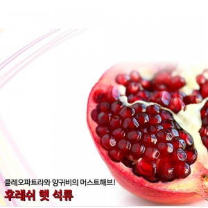 [수입과일] 새콤달콤 알알이 상큼한 석류 5kg 8-15과