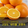 [수입과일] 호주산 고당도 네이블 오렌지 39-41과 8kg (중과)