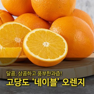 [수입과일] 호주산 고당도 네이블 오렌지 39-41과 8kg (중과)
