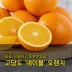 [수입과일] 호주산 고당도 네이블 오렌지 39-41과 8kg (중과)