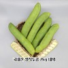 국산 생작두콩 2kg 내외(콩깍지포함 특품)