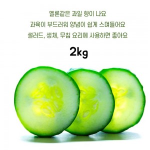 국내산 취청오이 2kg(정품 6~10개)