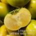 [특품] 햇 태추단감 2.5kg (13~16개, 개당중량 160g~200g)