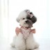 [개과천선] 에이샤밍 강아지 하네스 원피스 리드줄 미포함 M