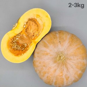 잘 익은 국산 늙은호박 2~3kg (특품)