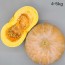 잘 익은 국산 늙은호박 4~5kg (특품)