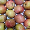 가정용 저탄소 홍로 사과 중소과 2kg(14과 내외)