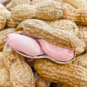 [청년농가] 예천 햇 황토땅콩 3kg