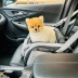 [개과천선] 글리터 강아지 카시트 고양이 이동장