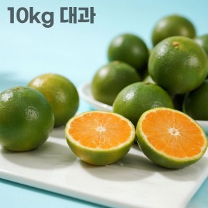 26년 제주직송 극조생 노지감귤 10kg 대과