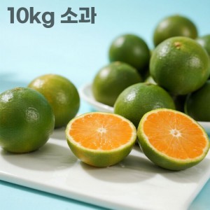 26년 제주직송 극조생 노지감귤 10kg 소과