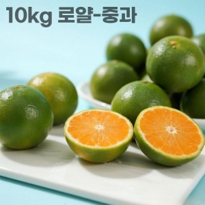 26년 제주직송 극조생 노지감귤 10kg 로얄-중과