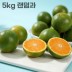 26년 제주직송 극조생 노지감귤 5kg 랜덤과