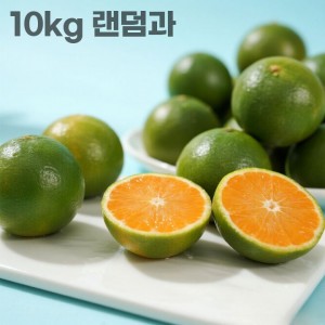 26년 제주직송 극조생 노지감귤 10kg 랜덤과