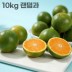 26년 제주직송 극조생 노지감귤 10kg 랜덤과