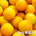 26년 제주직송 노란빛 제주 못난이 황금향 3kg 혼합과