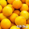 26년 제주직송 노란빛 제주 하우스 황금향 소과 3kg