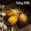 여주 햇고구마 비세척 꿀고구마 베니하루카 10kg 한입