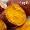 해남 직송 호박고구마 3kg 중
