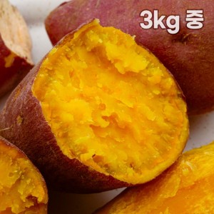 해남 직송 호박고구마 3kg 중