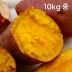 해남 직송 호박고구마 10kg 중