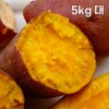 해남 직송 호박고구마 5kg 대