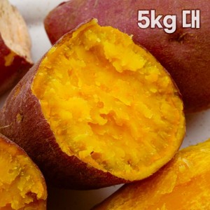 해남 직송 호박고구마 5kg 대